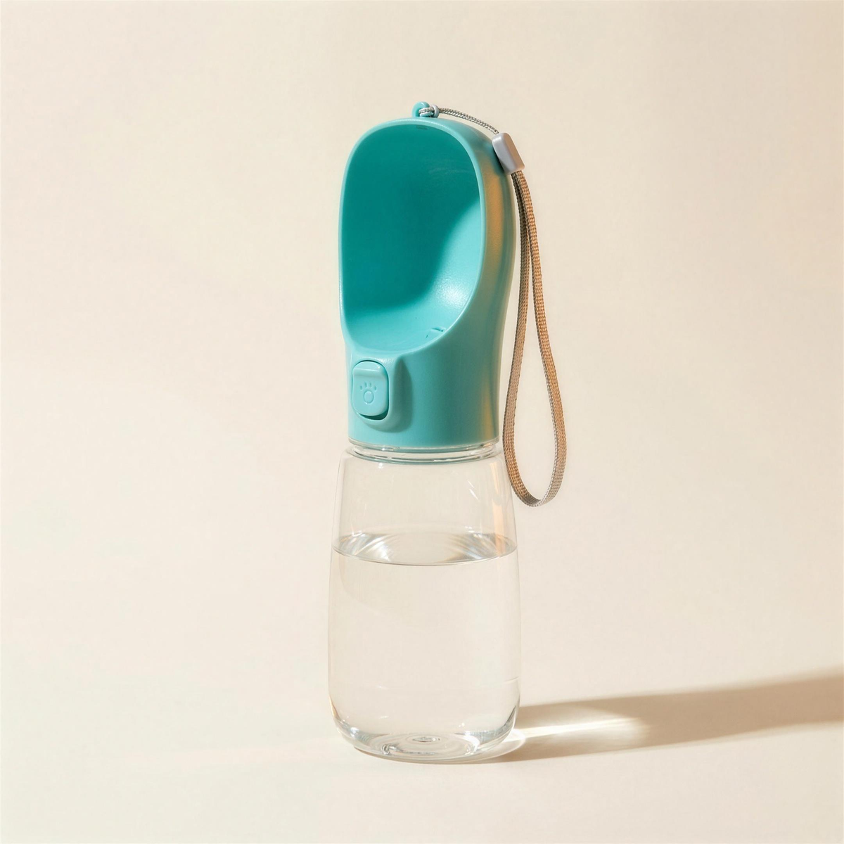 Travel water bottle and bowl