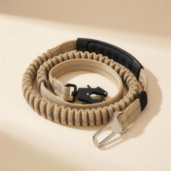 Bungee leash and car seat-belt