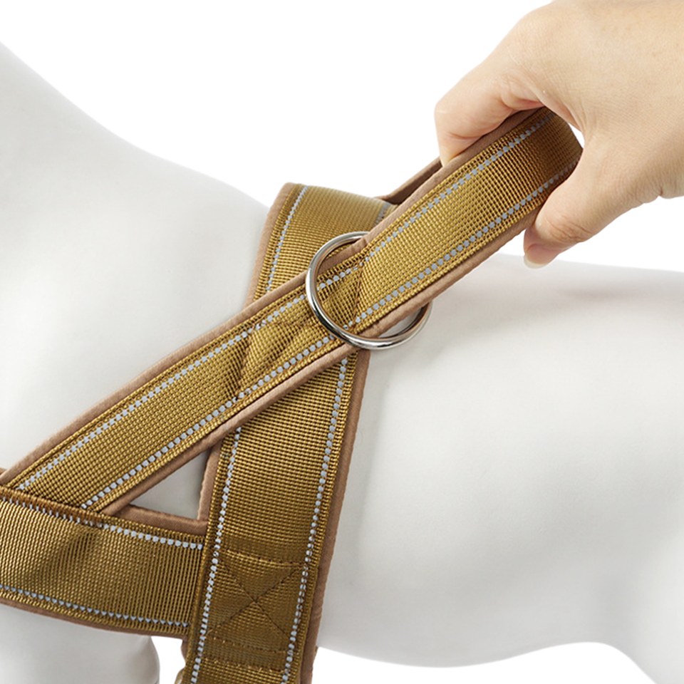 The front no-pull ring, shown on a dog form