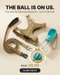 The ball is free with the Adventure-Ready Kit