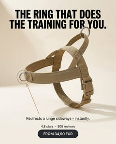 How the front ring redirects a lunge sideways