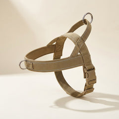 Harness with front no-pull ring and steel hardware