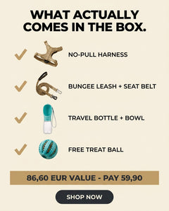 What actually comes in the box