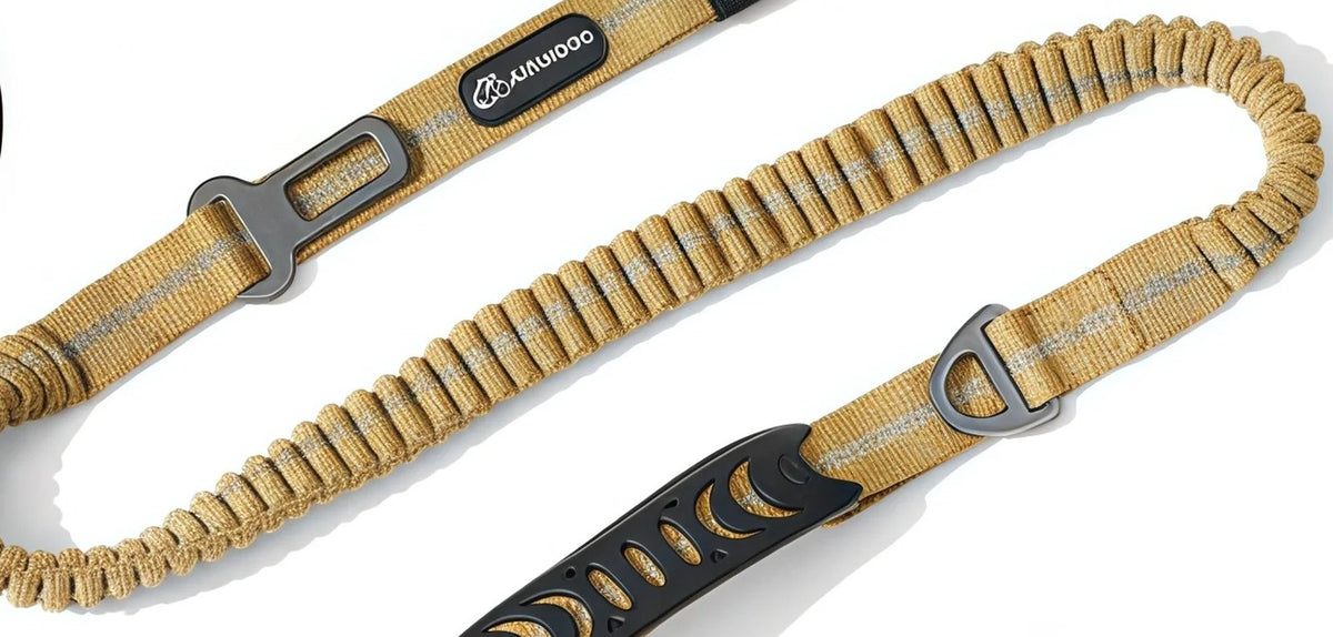 The bungee leash and car seat-belt included in the kit